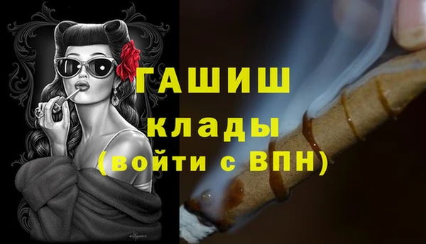 крисы Ельня