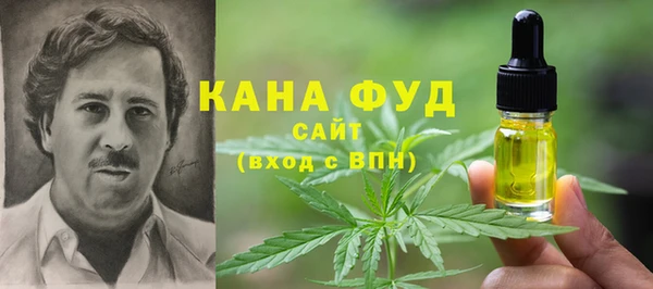 крисы Ельня