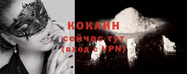 индика Елабуга