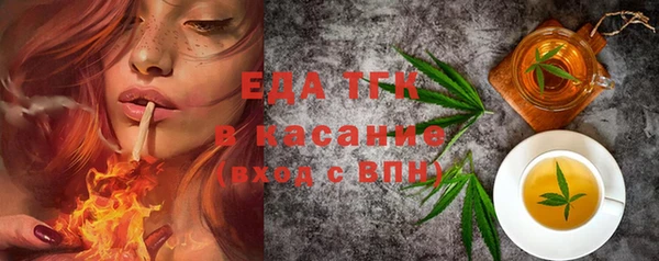 индика Елабуга