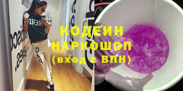 индика Елабуга