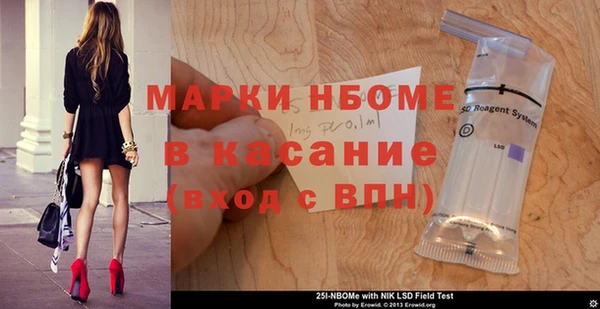индика Елабуга