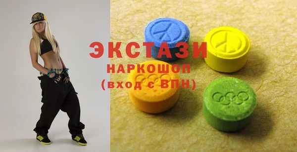 индика Елабуга
