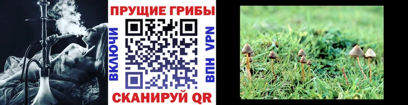 Галлюциногенные грибы мицелий  маркетплейс Telegram  Питкяранта 